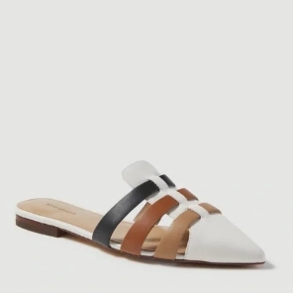 Ann Taylor Sydnee color block leather pointy toe slides